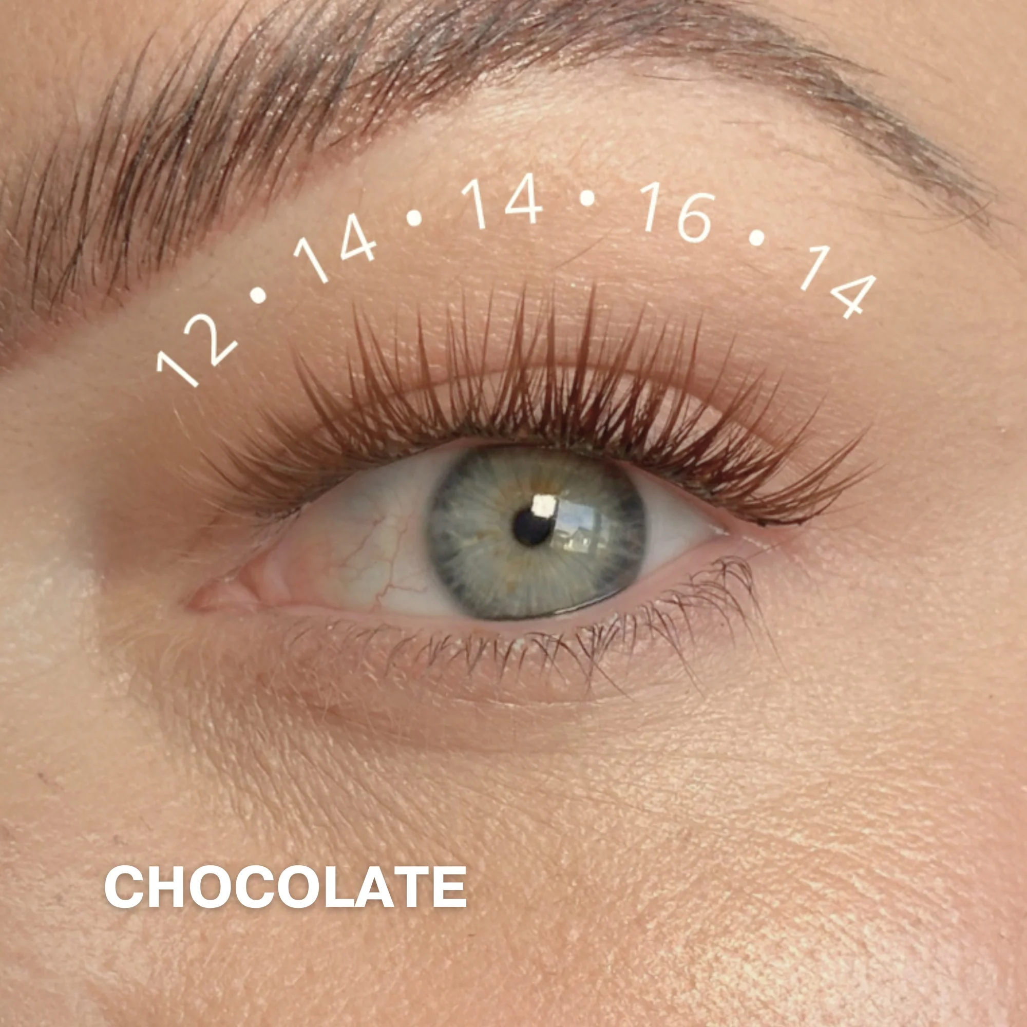 Mini Starter Kit with 50 Cluster Lashes - Image 13