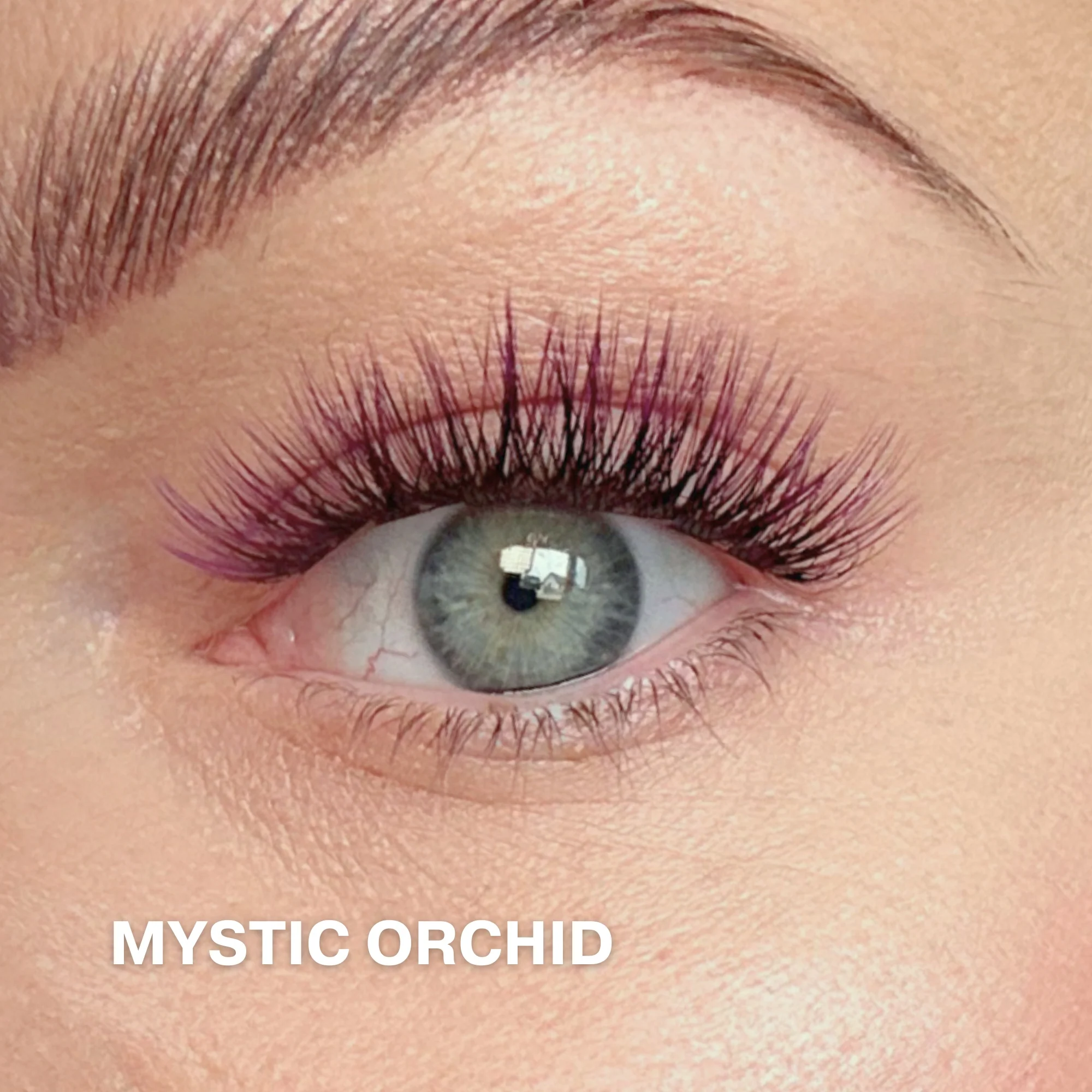 Mini Starter Kit with 50 Cluster Lashes - Image 11