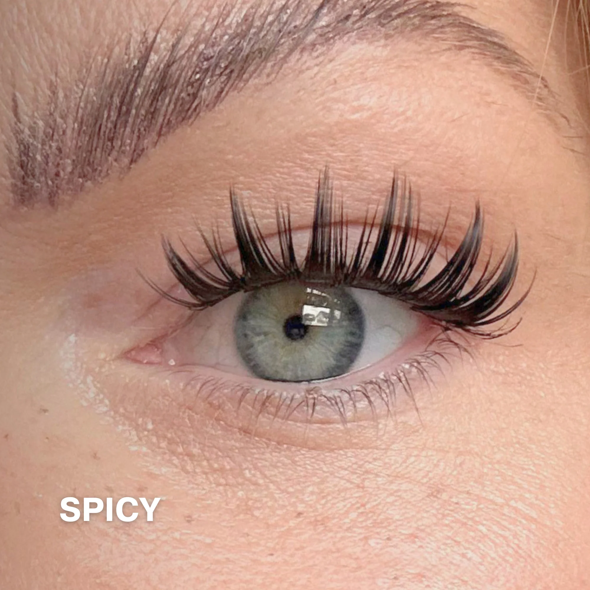 Starter Kit with Cluster Lashes - Image 16