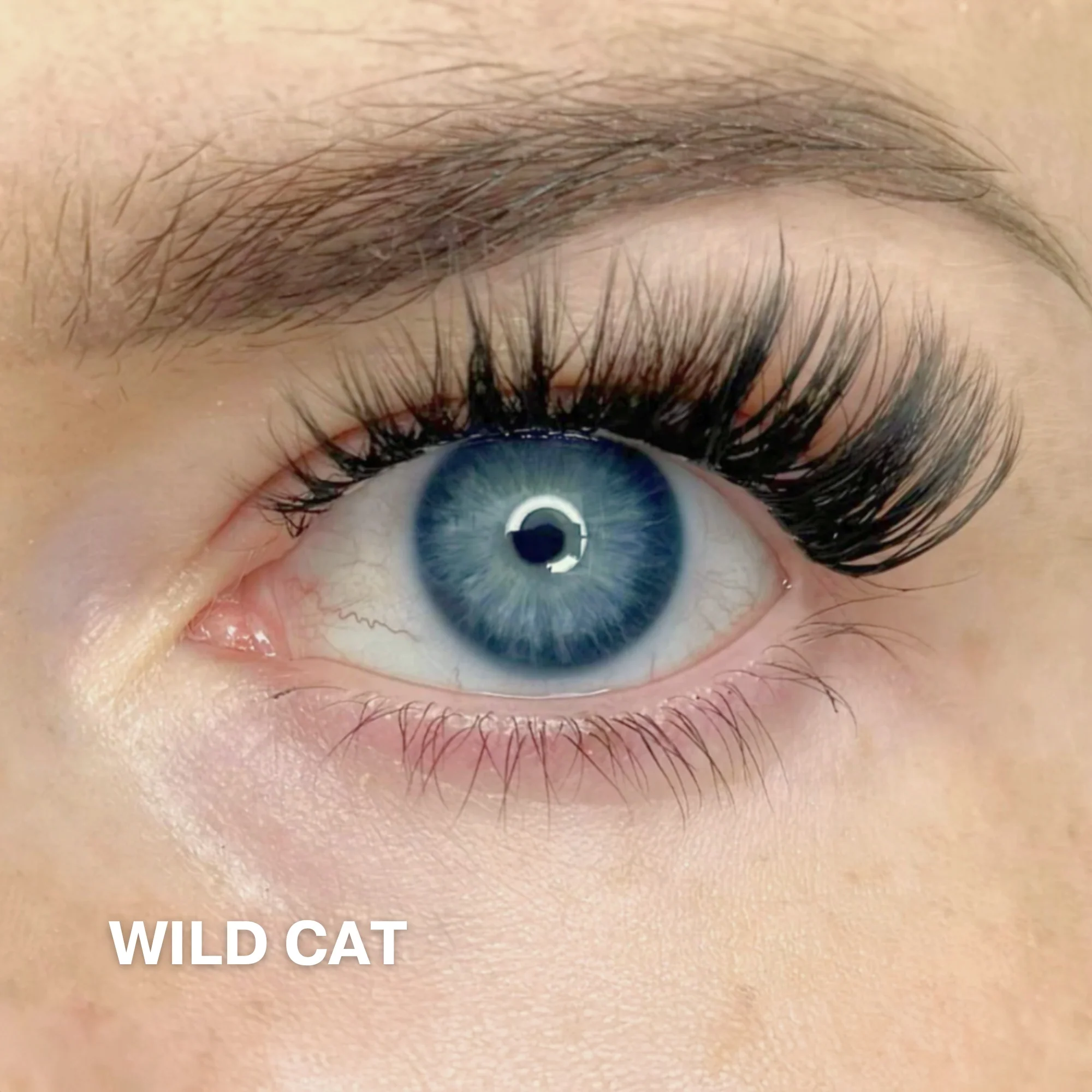 Starter Kit with Single Pack Lashes - Image 13