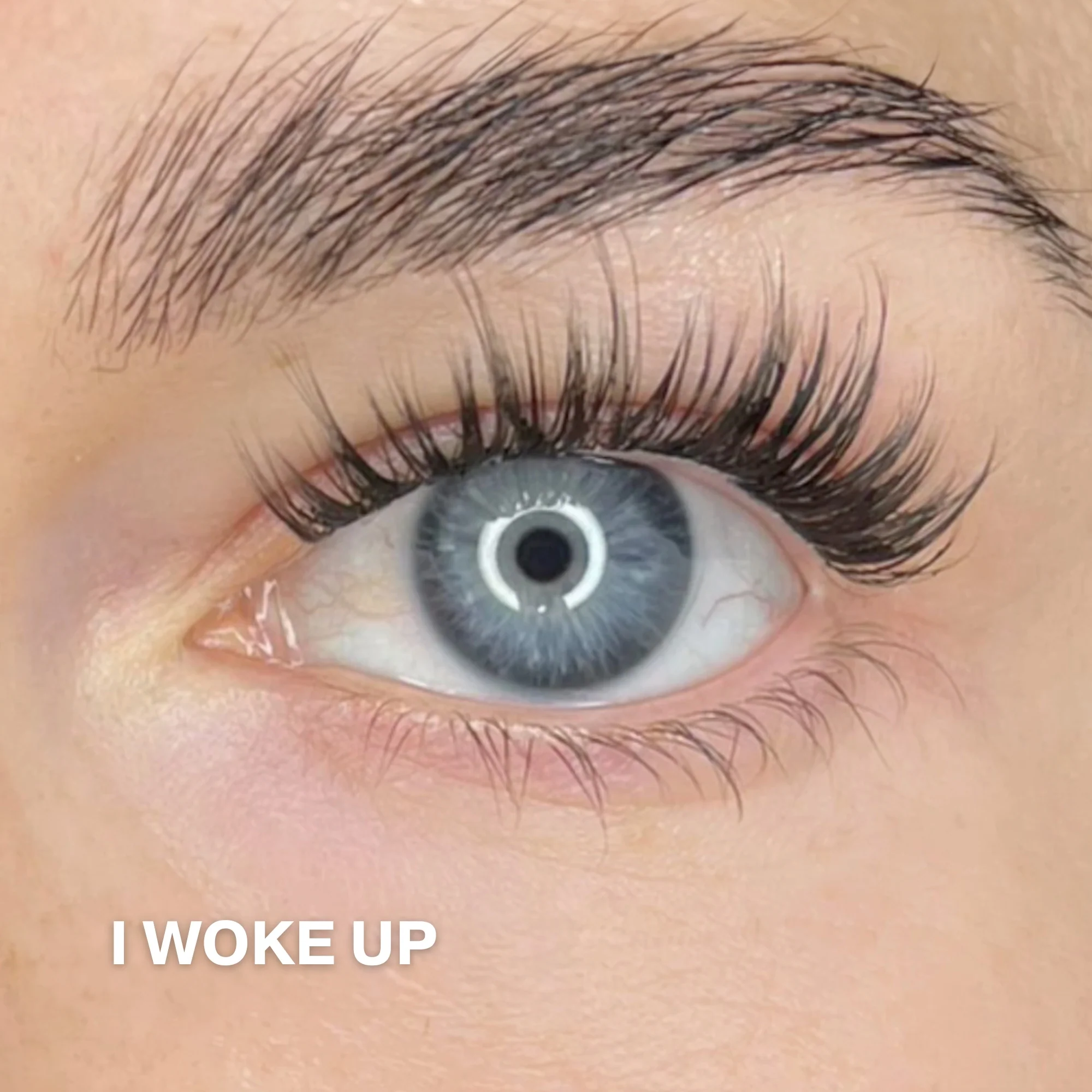 Starter Kit with 4-pack Pre-cut Lashes - Image 8