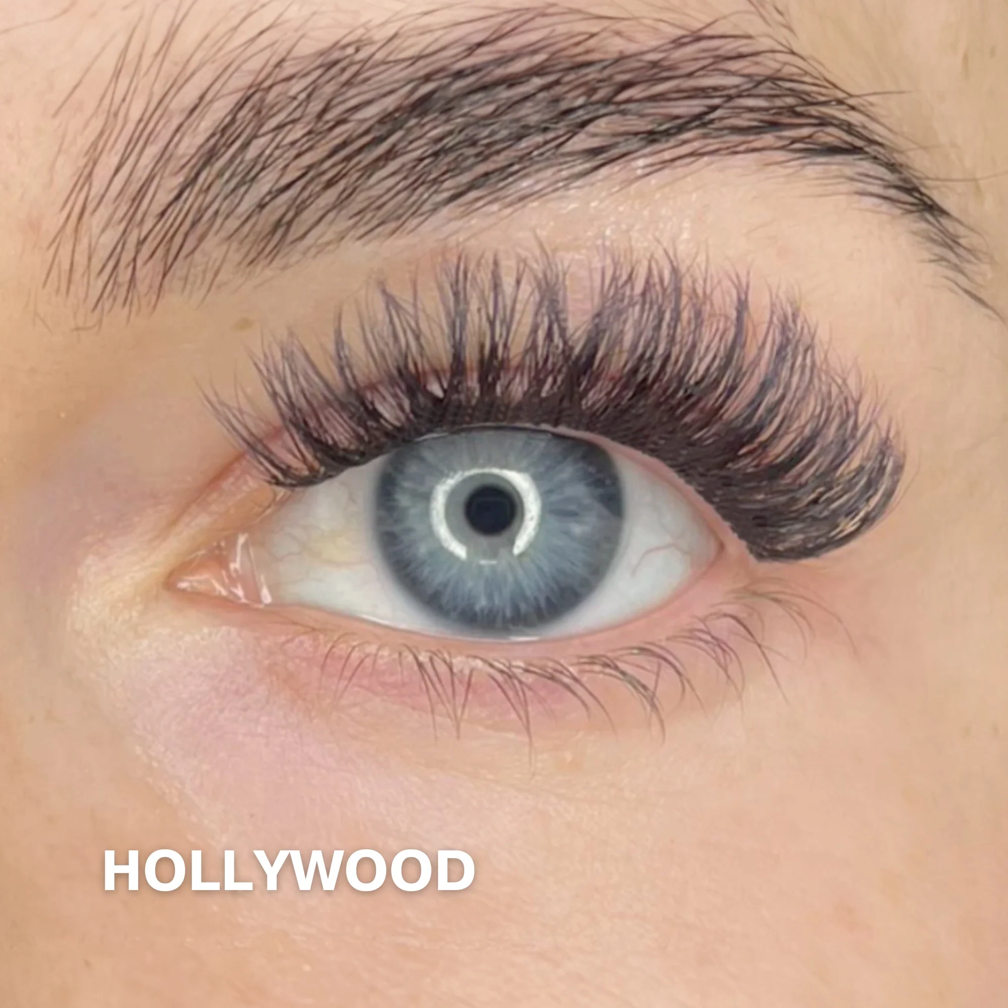 Starter Kit with Single Pack Lashes - Image 6